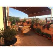 La Terrazza di Evelina Guest House