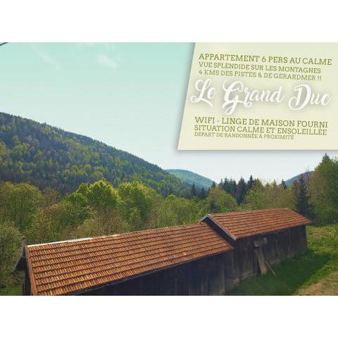 ⁂⁂ LE GRAND DUC Appartement [CLEDICIHOME] / Magnifique vue sur les montagnes / 4 KMs DE GERARDMER ! ⁂⁂