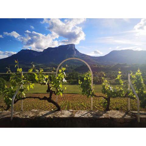 Le Haut des Vignes - Domaine des Granges Longes