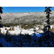 Les fermes du Lac Gerardmer