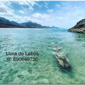 Luna de Lobos