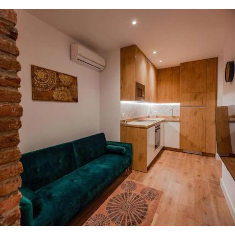 Luxury flat Salamanca V