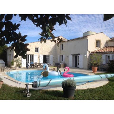 Maison ancienne avec piscine au milieu des vignes