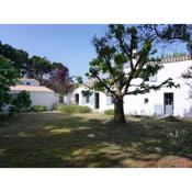 Maison Noirmoutier-en-l'Île, 4 pièces, 6 personnes - FR-1-224B-164