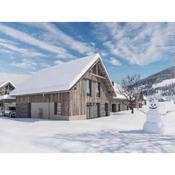 Mountain Chalet Esttes