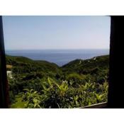 Nightingale Cottage Pelion