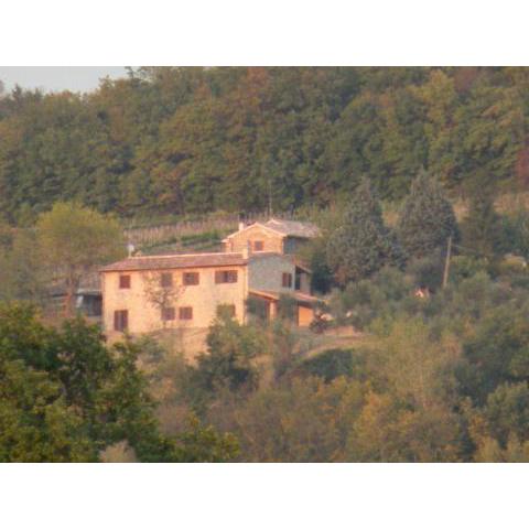 Panoramic farmhouse with swimming pool