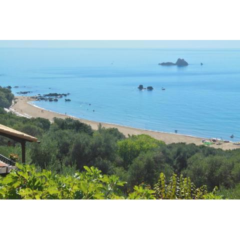 Paradise Apartments and studio with swimming pool in Pelekas Beach, Corfu