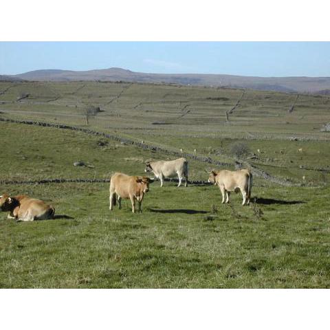 Plateau de l'Aubrac