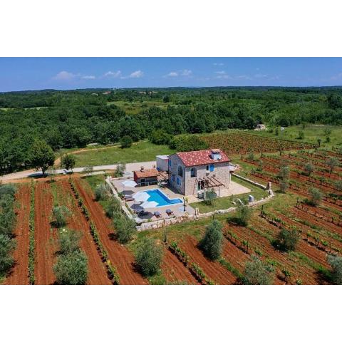 Relax house surrounded by olives and vineyard