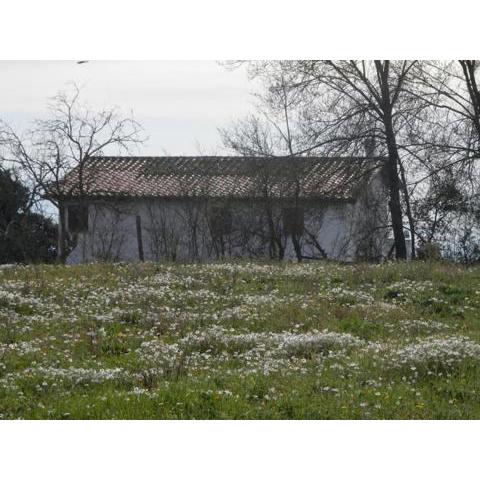 Roman Countryside! House surrounded by nature