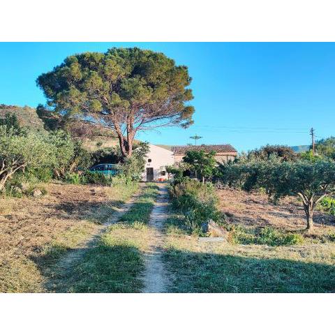 Rustico in campagna a due passi dal mare - Scopello