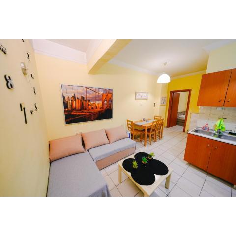 Spacious central newly furnished apartment