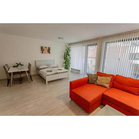 Spacious Terrace Apartment with free private parking