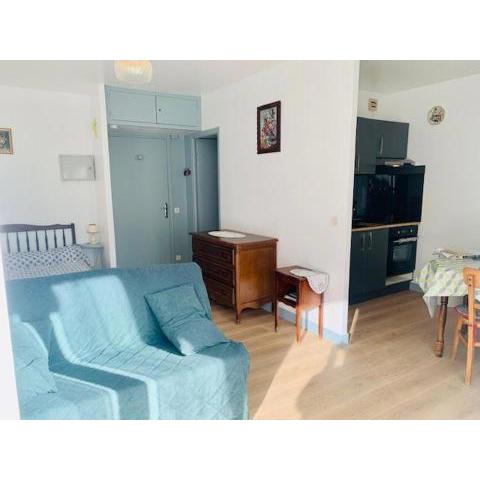 Studio Amélie-les-Bains-Palalda, 1 pièce, 2 personnes - FR-1-703-11