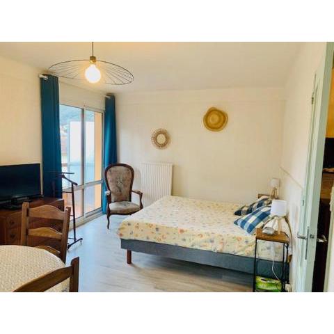 Studio Amélie-les-Bains-Palalda, 1 pièce, 2 personnes - FR-1-703-52