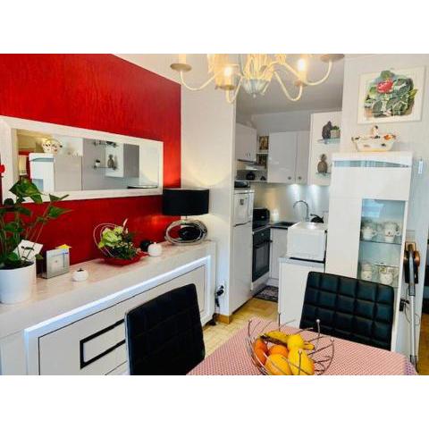 Studio Amélie-les-Bains-Palalda, 1 pièce, 2 personnes - FR-1-703-58