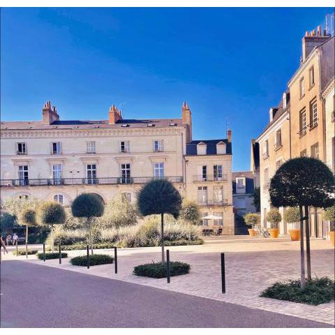 Studio meublé, en plein coeur de Tours