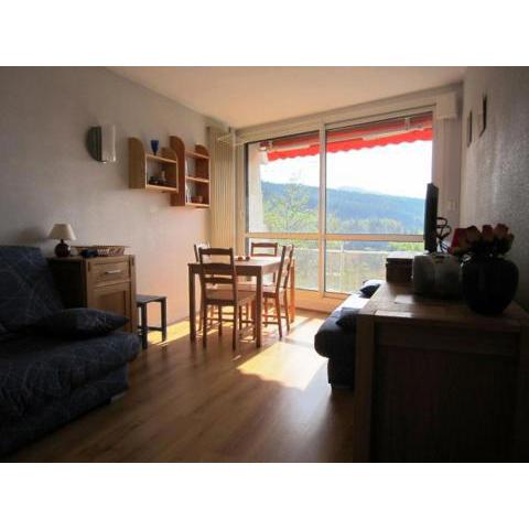 Studio Villard-de-Lans, 1 pièce, 4 personnes - FR-1-689-97