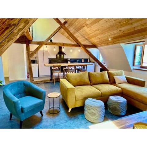 Superbe loft dans le centre historique de Barcelonnette