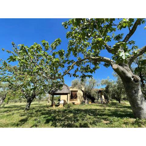 TOSCANA TOUR - Cottage I Ciliegi with aircon, fenced garden