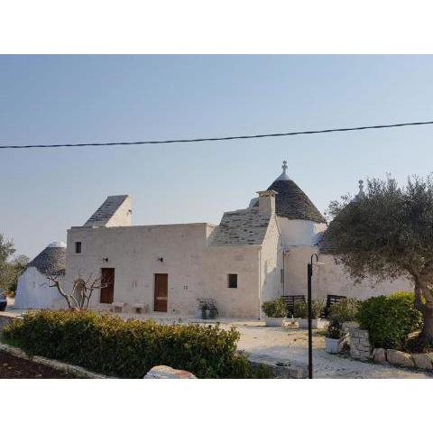 Trulli stett