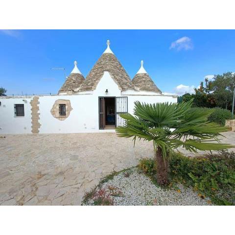 Trullo Andrea