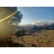 Un petit oasis en plein centre de Céret.