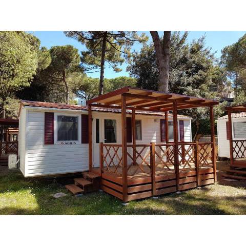 Victoria Mobilehome in Camping Mare e Pineta