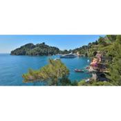 Villa Puddinga,Portofino,Private beach access,Private boat,Staff included